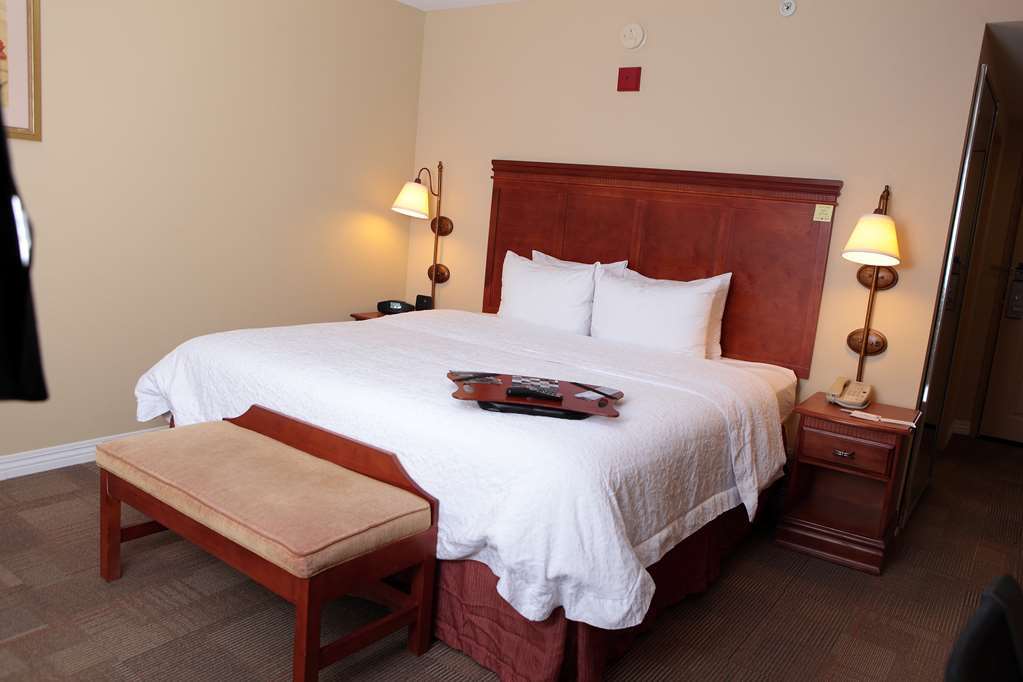 Hampton Inn Martin Rum bild